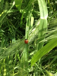 20130506-010051.jpg