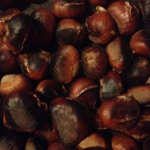 castagne