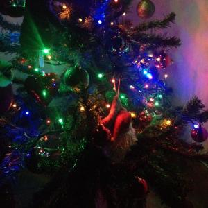 albero